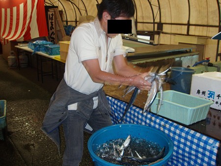 秋刀魚つかみ取り