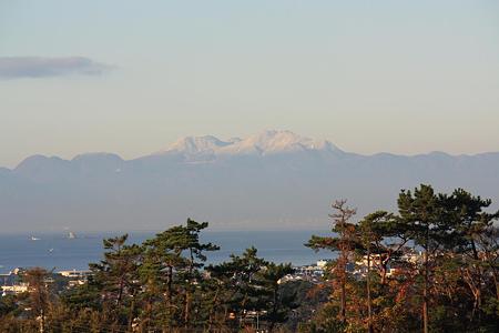 2008