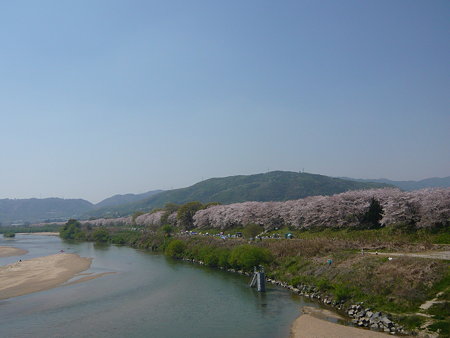 背割堤