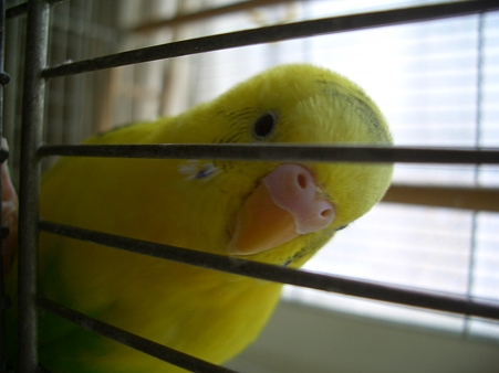 あのね・・・