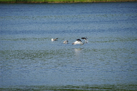 IMGP2428