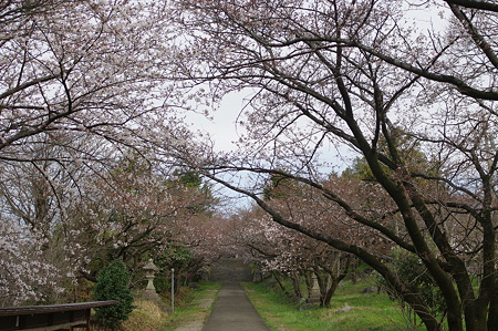 IMGP4310