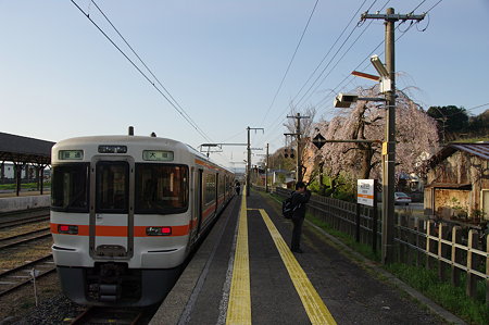 IMGP4254