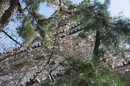 IMGP4467