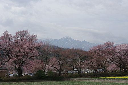 IMGP5811