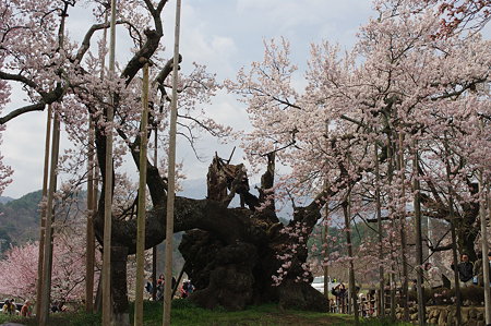 IMGP5834