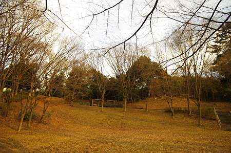 IMGP1718