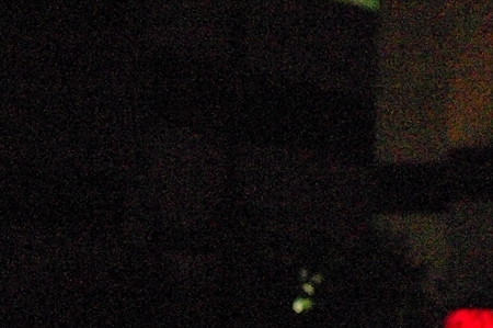 IMGP3829