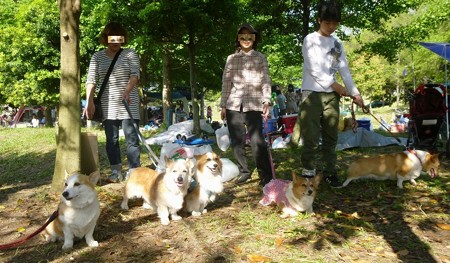 P1010039 - コピー