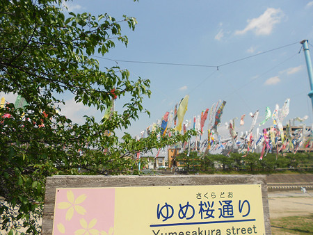 resize1266