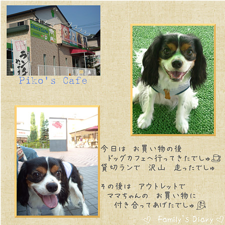 お出掛け
