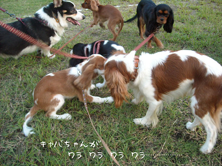 再会