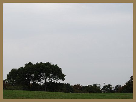 落合公園