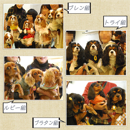 カラー別