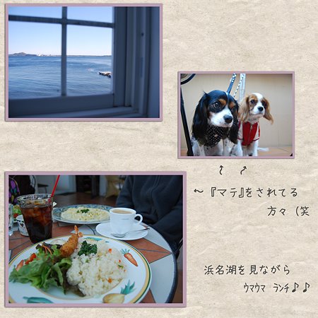 浜名湖畔 ランチ
