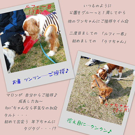 ご挨拶