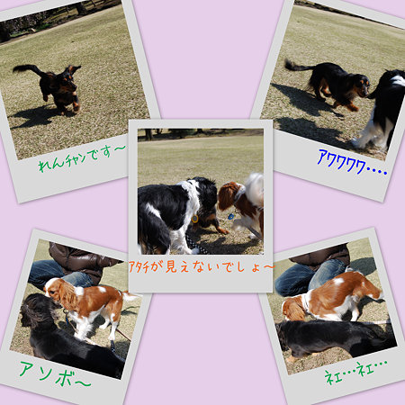 カニヘンダックスのれんチャン☆
