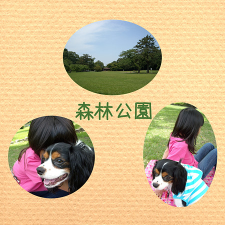 森林公園