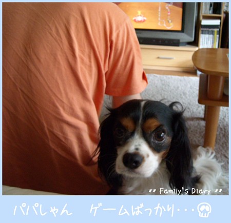 20080601 002