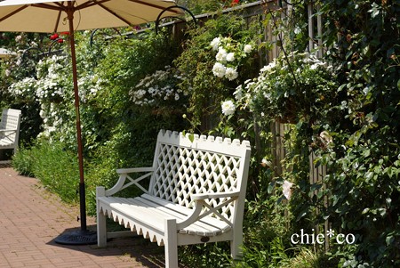 横浜 English Garden-158
