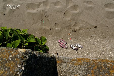 夏を感じた日・・ 渚にて・・3