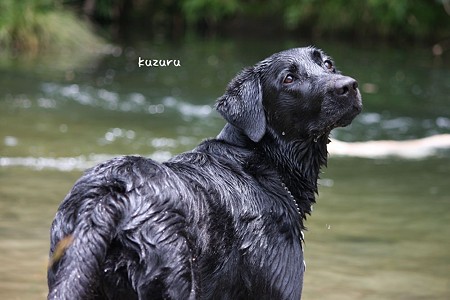 くずる