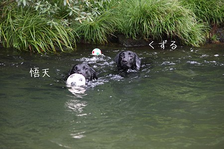 かわいいお顔