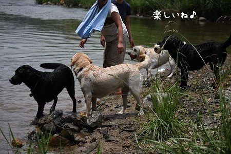 楽しいね