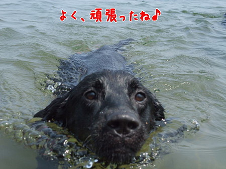 花初泳ぎ6