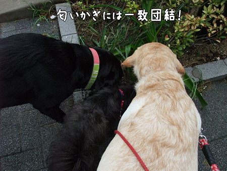 一致団結!