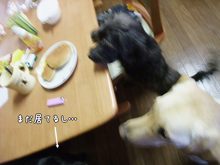 まだ・・・