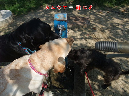 みんなで一緒に