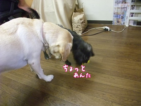 ちょっと