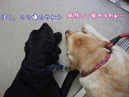 病院は…