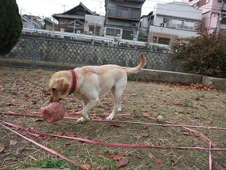 散歩