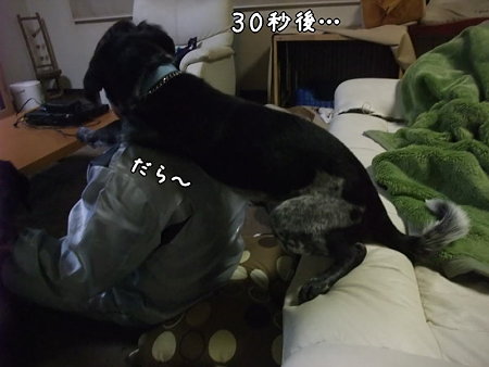 だら~