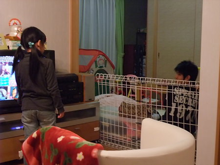 仲良く会話中