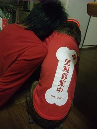 里親募集中の服