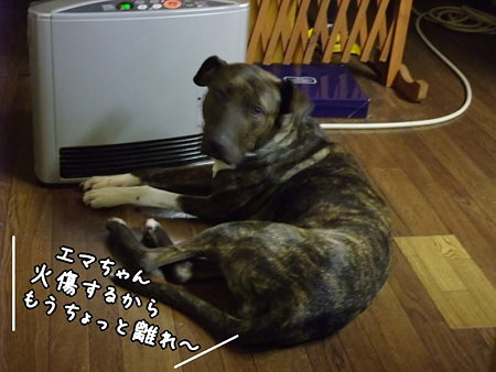離れや~