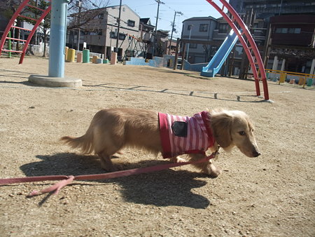 くるみ 103