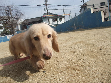 呼び戻しも出来るよ♪