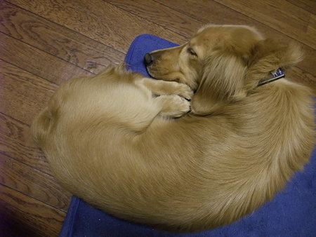 眠った~~!