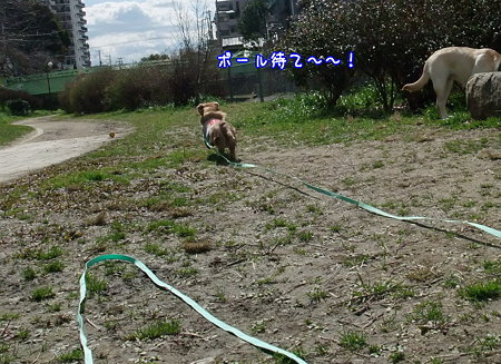 ボール待て~~