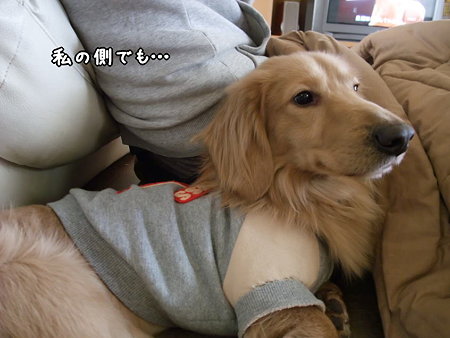 私の側でも・・・