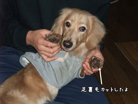 次男お膝で