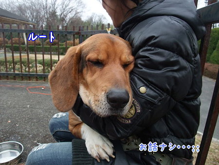ルート