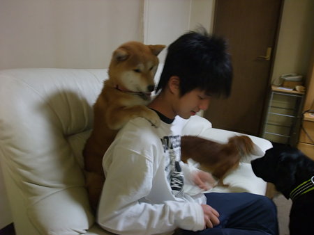 面白すぎなゆめちゃん