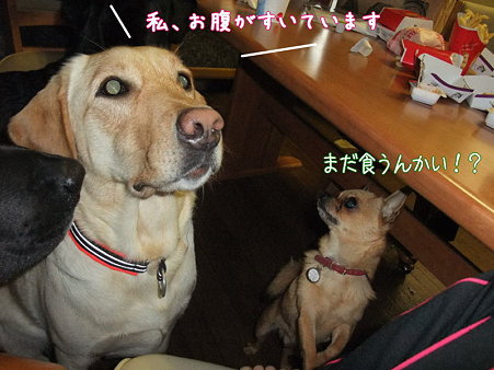 食ったばっかりやろ!