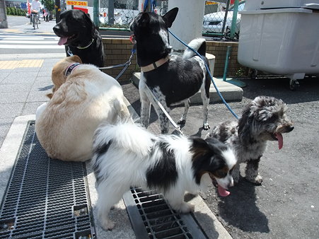 みんなバラバラやねんけど~~~