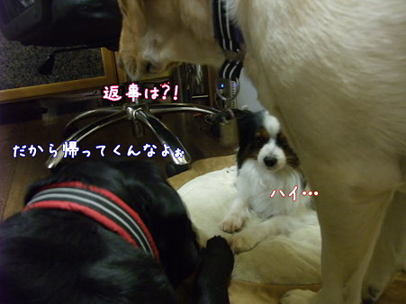 激励2